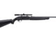 Choosing Your Plinking Gun